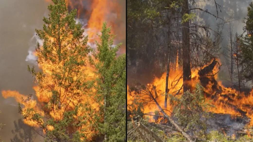 Click to play video: 'B.C. warns of increased fire risk going into August long weekend'