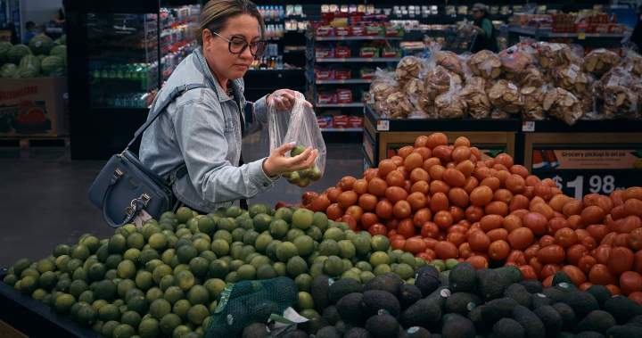 Another hit to the Canadian wallet, US tariffs loom over consumers - Winnipeg