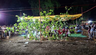 Dr. P. C. Dubey’s Mission to Keep Tribal Medicine Alive