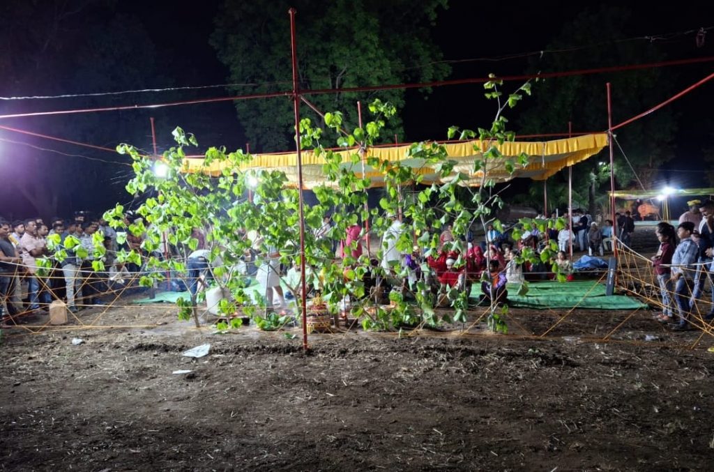 Dr. P. C. Dubey’s Mission to Keep Tribal Medicine Alive