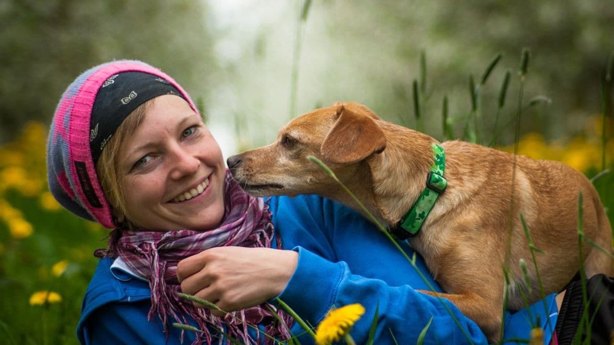How dogs are helping people destress even more than expected – Firstpost