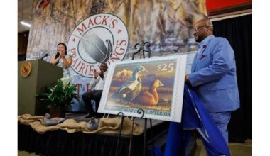 Arkansas Game and Fish Commission unveils 2025-26 Duck Stamp