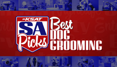 Nominate your favorite dog grooming business in San Antonio