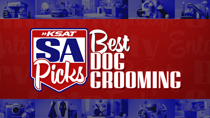 Nominate your favorite dog grooming business in San Antonio