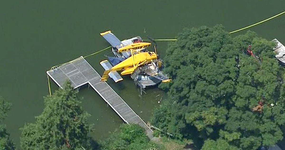 16-year-old boy dead after being hit by plane that crashed into dock in Lake Scugog - CTV News