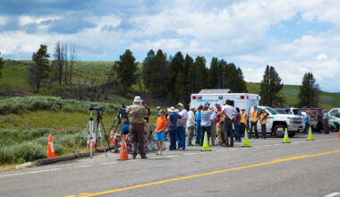 "There are already two people that have been gored by buffalo in Yellowstone this year."