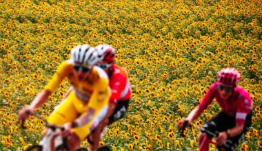 High-Carb Fueling Sped Up the Tour de France. Will it Work for Us?