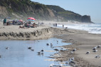 Ocean Water Use Warning for July 16