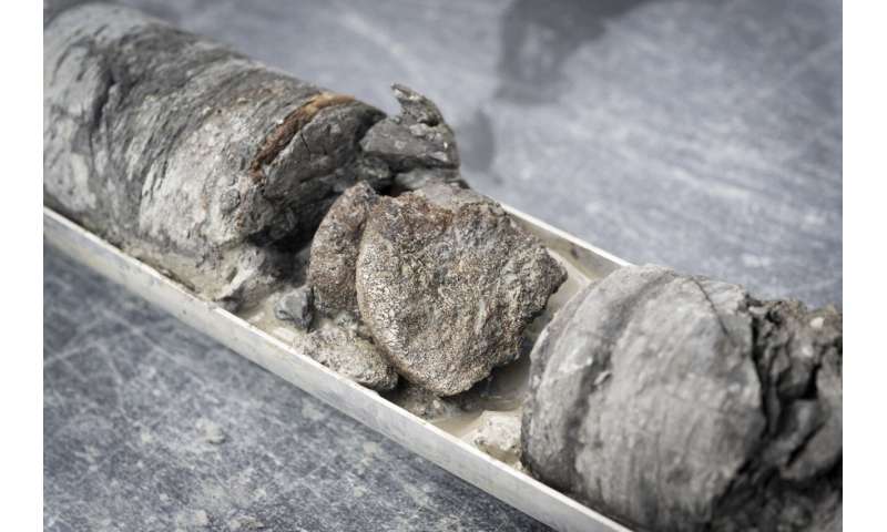 A Denver dino museum makes a find deep under own parking lot. Like 'a hole in one from the moon.'