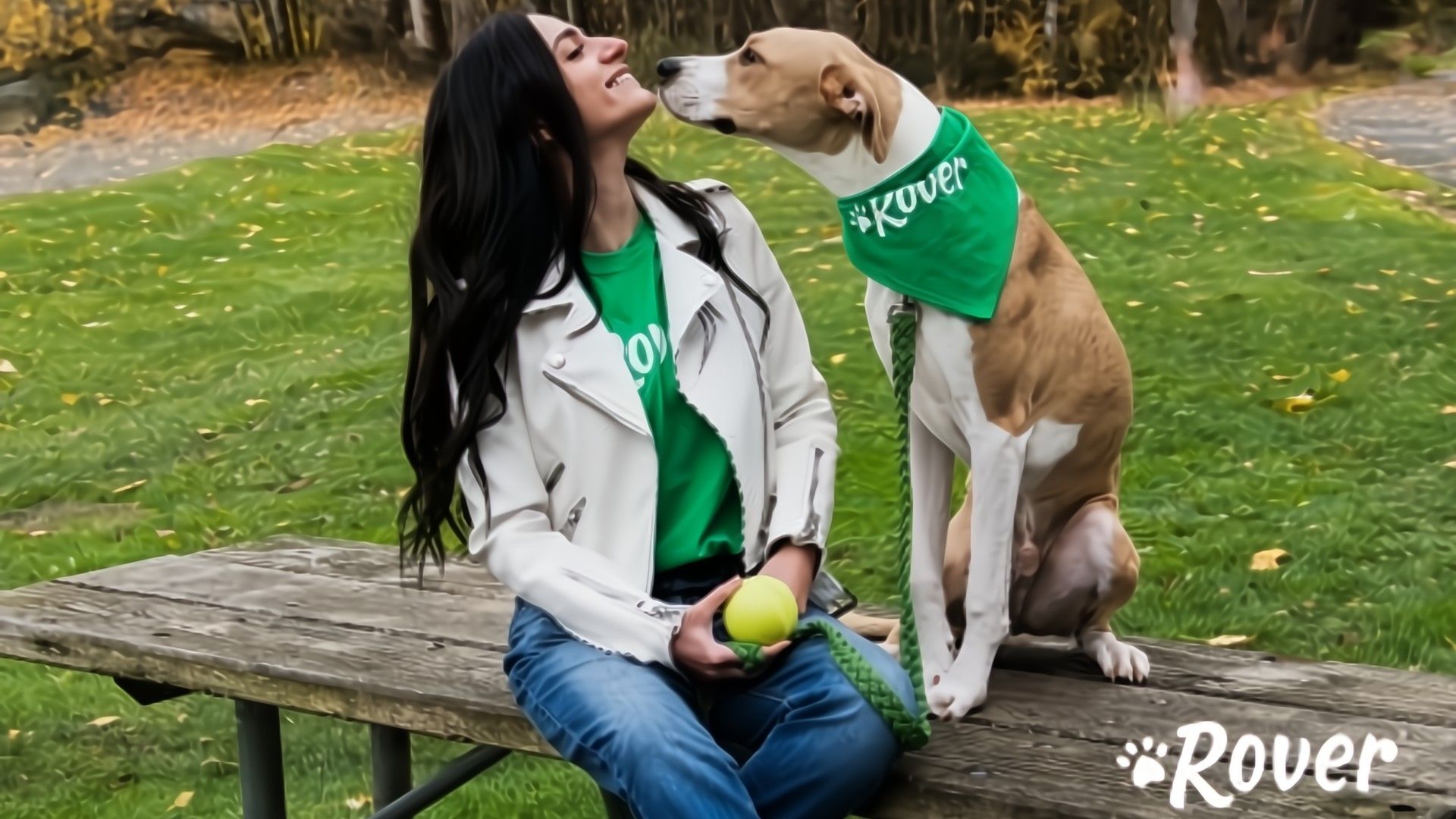 A rover sitter watching a dog with a green ascot.