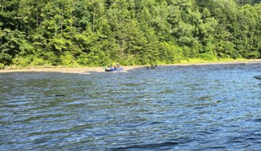 Rangers rescue four adults in rapid Cattaraugus Creek rise