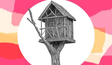 Are treehouses dangerous? I had a magical childhood with a treehouse, and no one got hurt. But my wife thinks they're death traps.