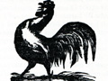 Acton Rooster