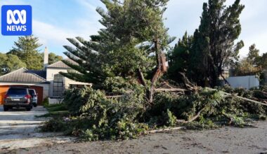 Tornado tears through Perth's western suburbs, damaging homes and uprooting trees