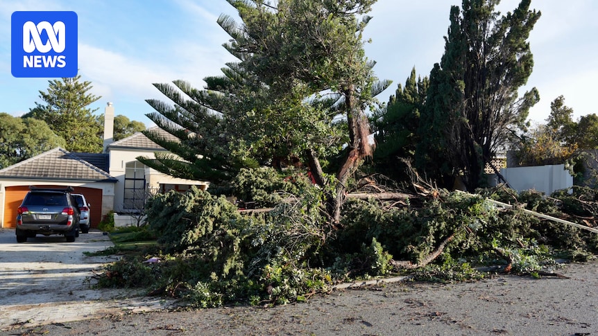 Tornado tears through Perth's western suburbs, damaging homes and uprooting trees