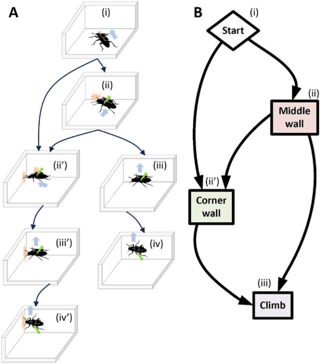 Graphic displaying the ZoBorg's on-demand climbing protocol.