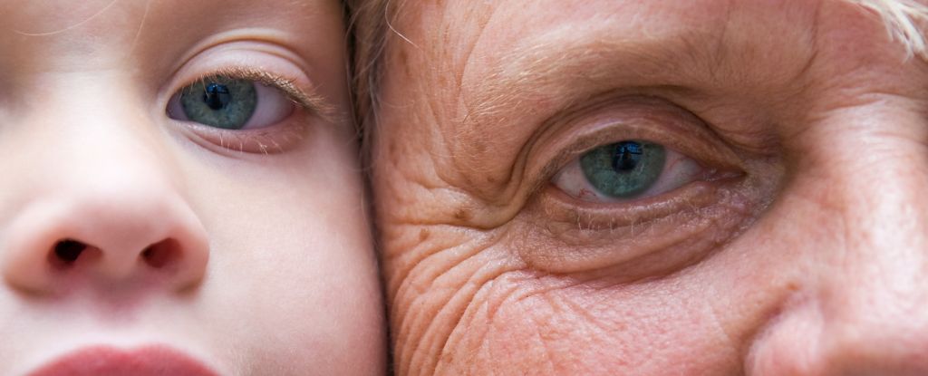 Study Reveals Turning Point When Your Body's Aging Accelerates : ScienceAlert