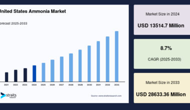 United States Ammonia Market