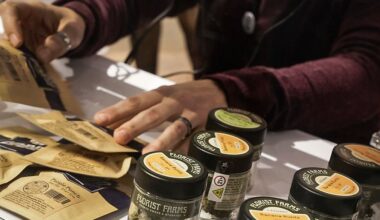 cannabis dispensaries