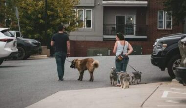 San Antonio had 3rd most pet-friendly Zillow rentals in 2024