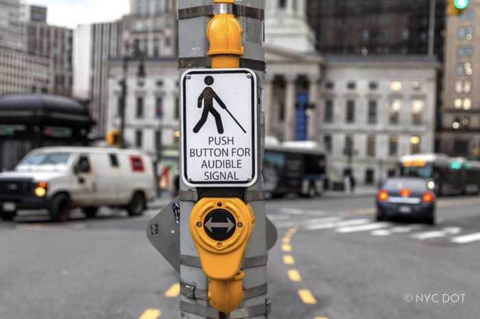 a traffic signal on a NYC street