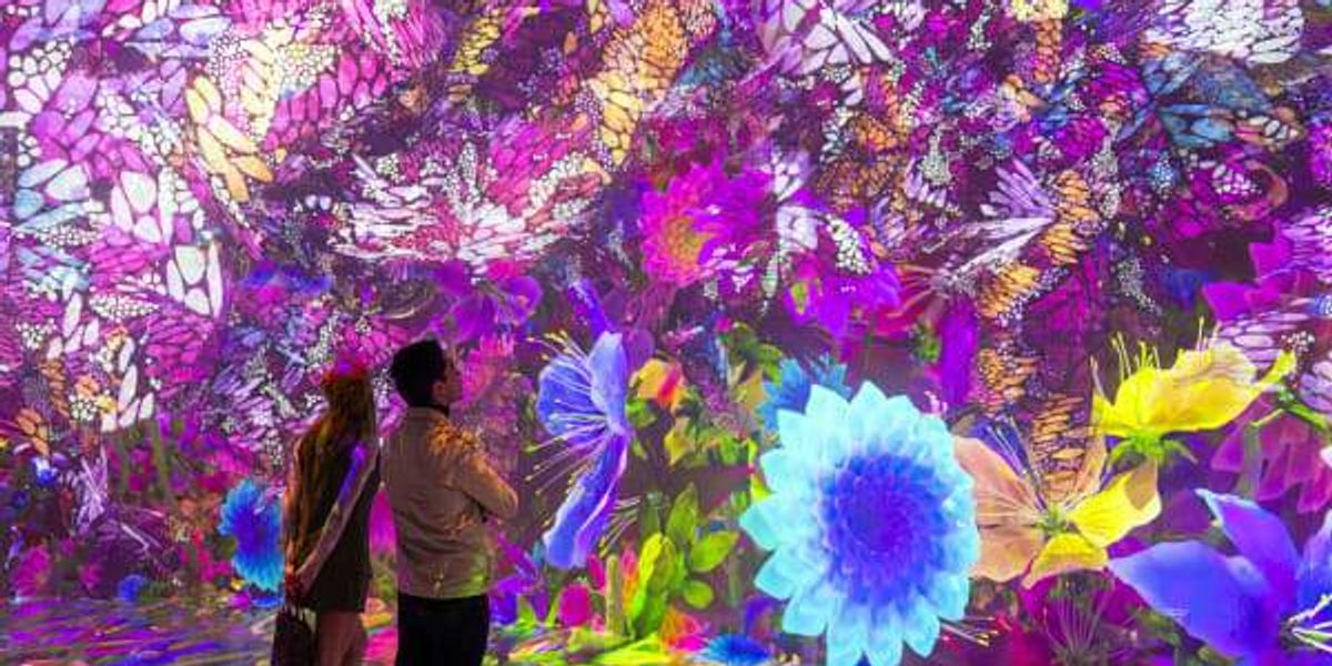 Where to see art in Houston now: 9 fun new exhibits opening in July