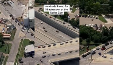 Hundreds Flock to Dallas Zoo for $1 Tickets