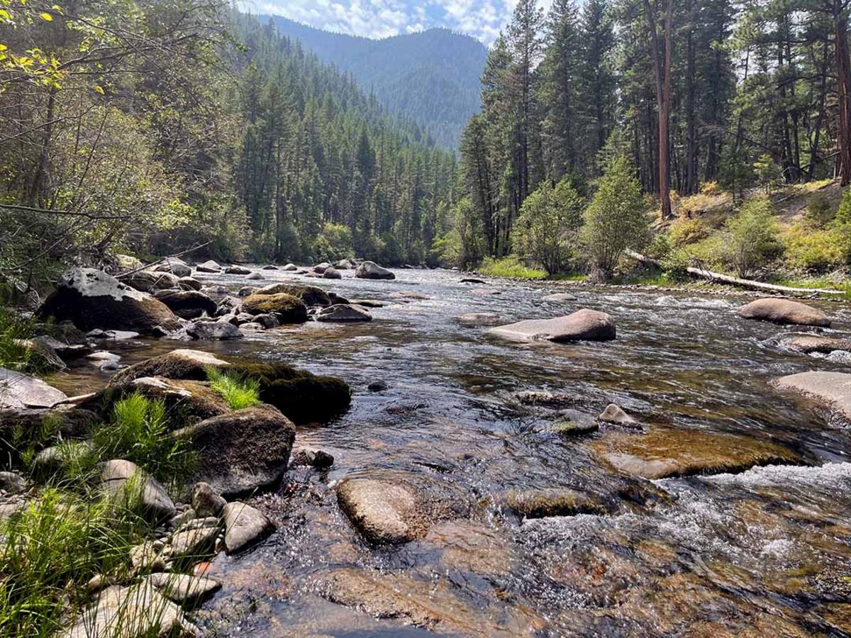 Rivers drop, algae spreads as drought deepens