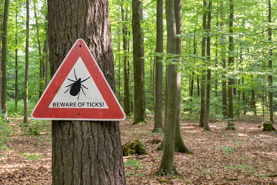 Tick warning sign