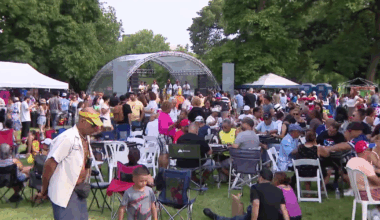 Record turnout at Barrio Arts Festival in Chicago after fears of potential ICE raids