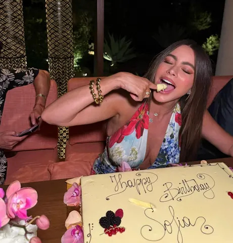 Instagram/Sofía Vergara Vergara's dress plunged to her waist