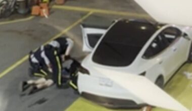 Pantless Tesla driver altercation on BC Ferries latest in ‘negative interactions,’ union says