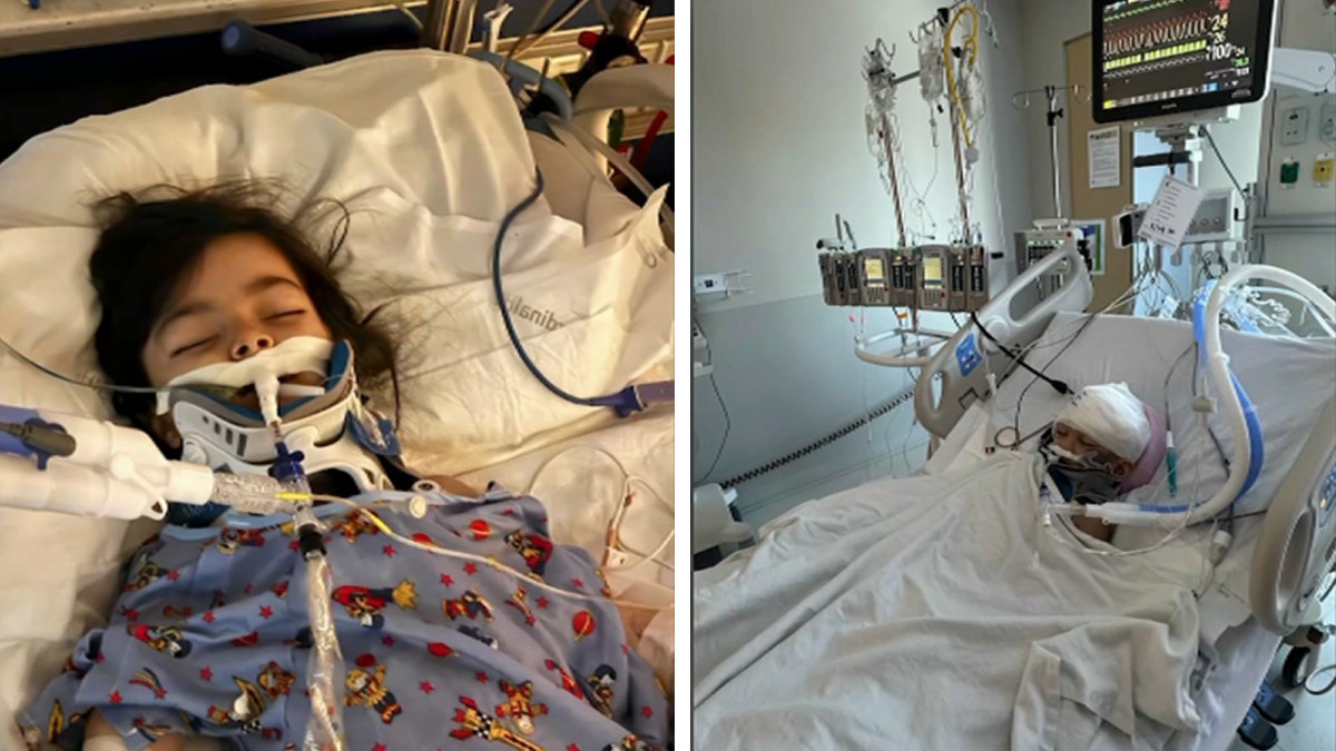 Family sues Bedford Park after arrest mistake left 2 kids hurt – NBC Chicago