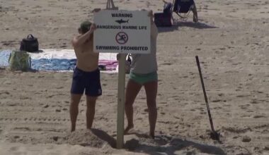 Will beachgoers in New York and New Jersey be safe from sharks this summer?
