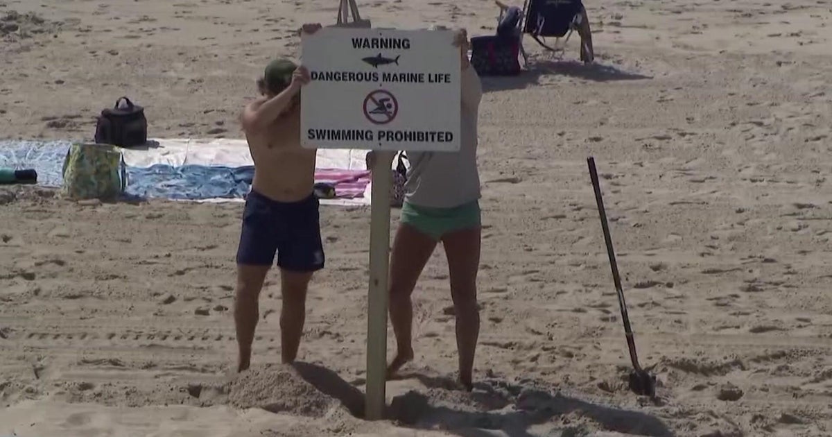 Will beachgoers in New York and New Jersey be safe from sharks this summer?