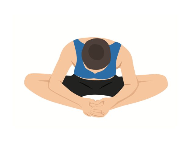 butterfly stretch