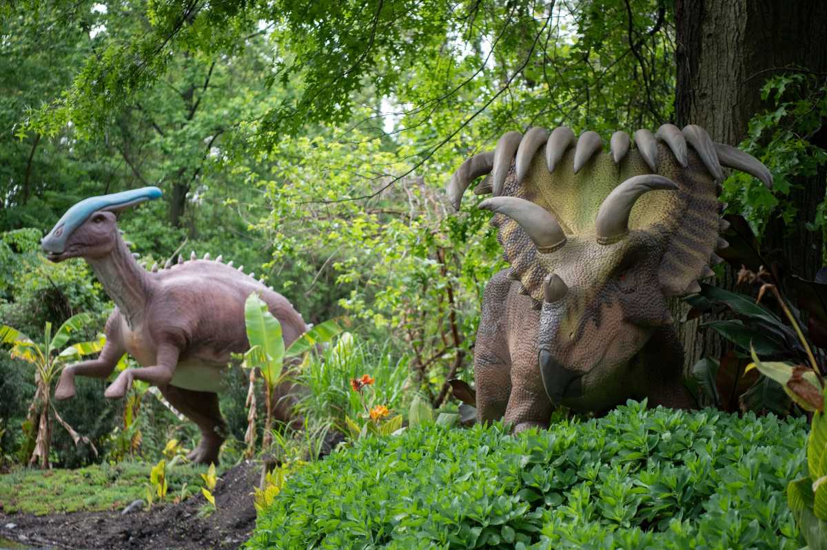 A Month-by-Month Guide to Events Across NYC and Beyond – New York Family