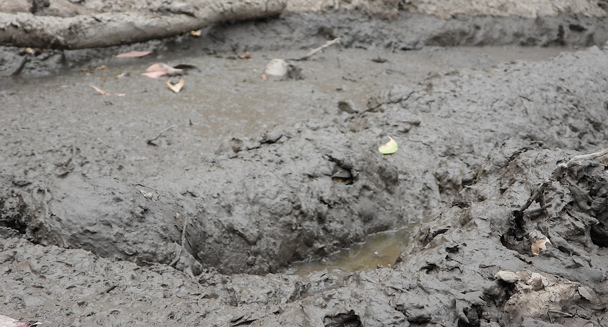 Incredible photo shows hidden danger as Aussie travellers head north to escape winter