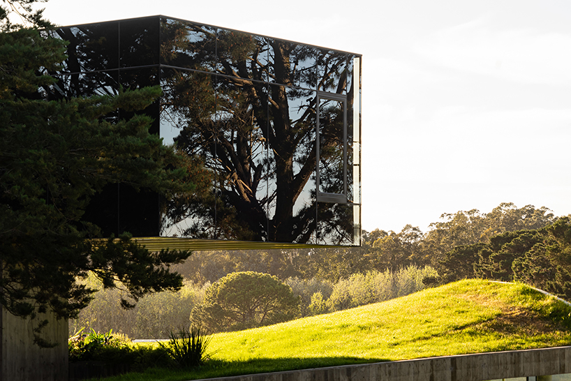 casa moro's green concrete mantle follows natural slope of forested terrain in buenos aires