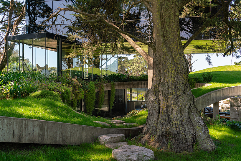 casa moro's green concrete mantle follows natural slope of forested terrain in buenos aires