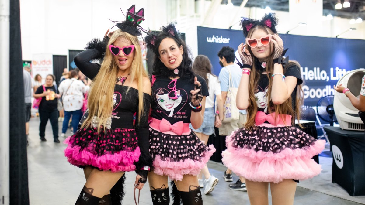 CatCon, the cat-tastic expo, lands in Pasadena – NBC Los Angeles