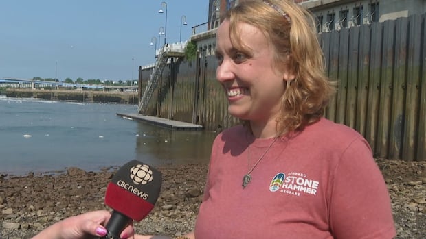 How climate change in the last Ice Age created the Bay of Fundy tides