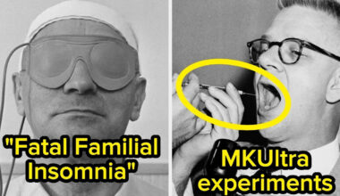 21 Disturbing Wikipedia Pages About Unethical Experiments, Rare Deadly Diseases, And Other Nightmares