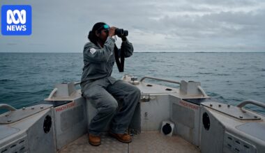 In Australia's north, Indigenous rangers are battling a spike in illegal foreign fishers