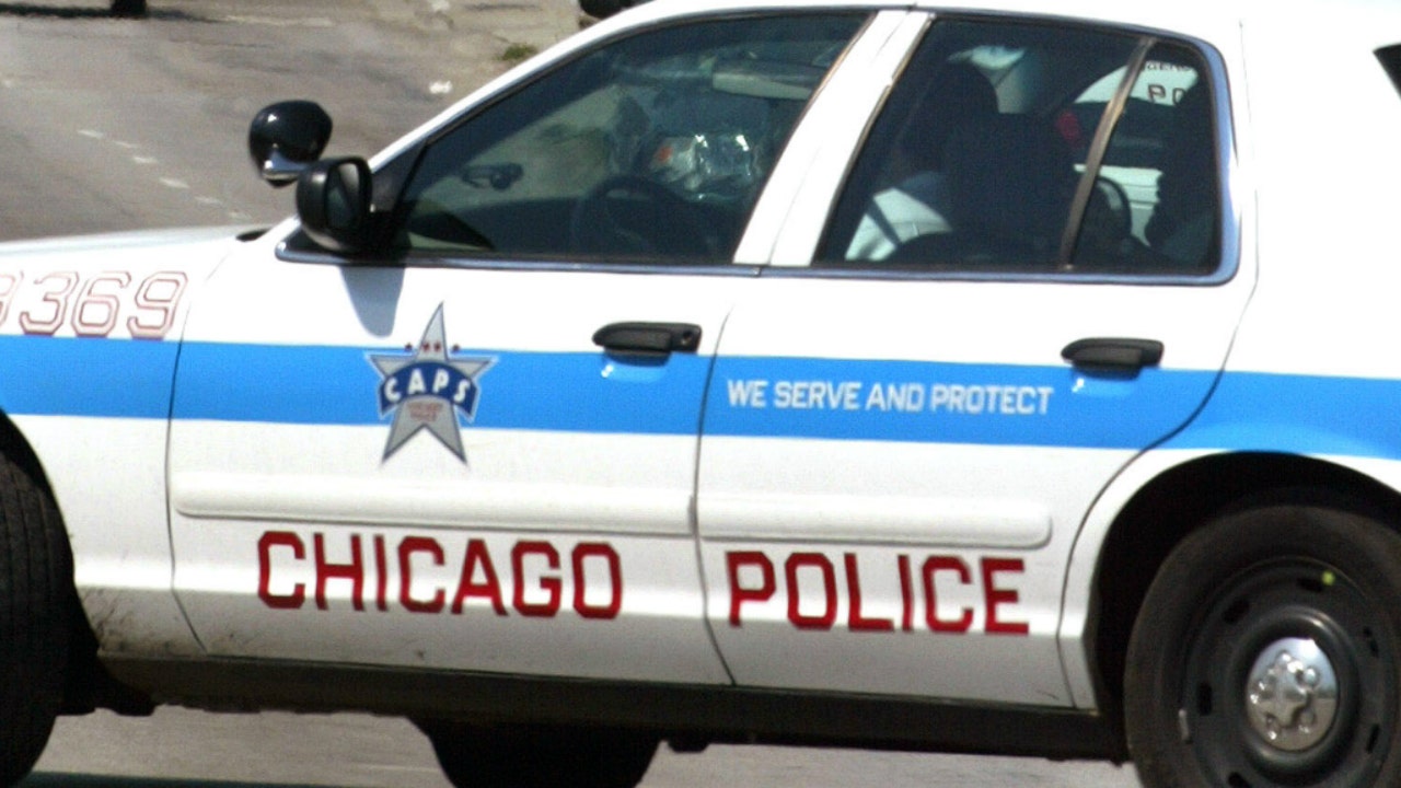 Chicago carjacking: 14-year-old charged in Edgewater attack