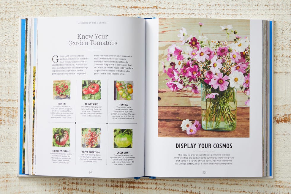 a peek inside country living's new book the southerner's y'allmanac
