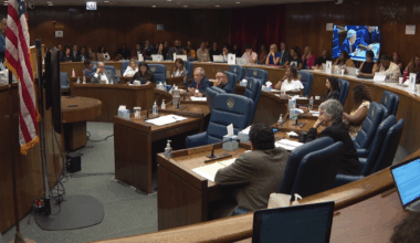 Crisis of domestic violence in Chicago addressed at Cook County Board hearing