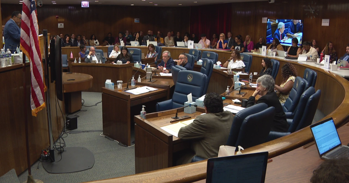 Crisis of domestic violence in Chicago addressed at Cook County Board hearing
