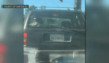 Suspect sought in Spring Valley animal abuse case – NBC 7 San Diego