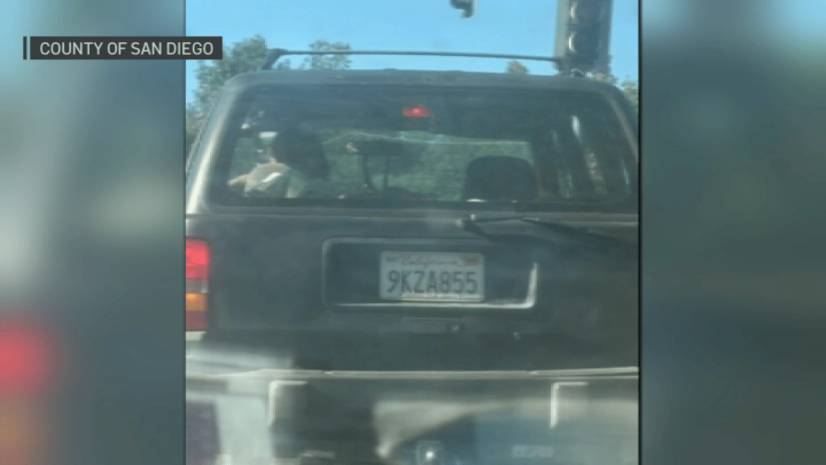 Suspect sought in Spring Valley animal abuse case – NBC 7 San Diego